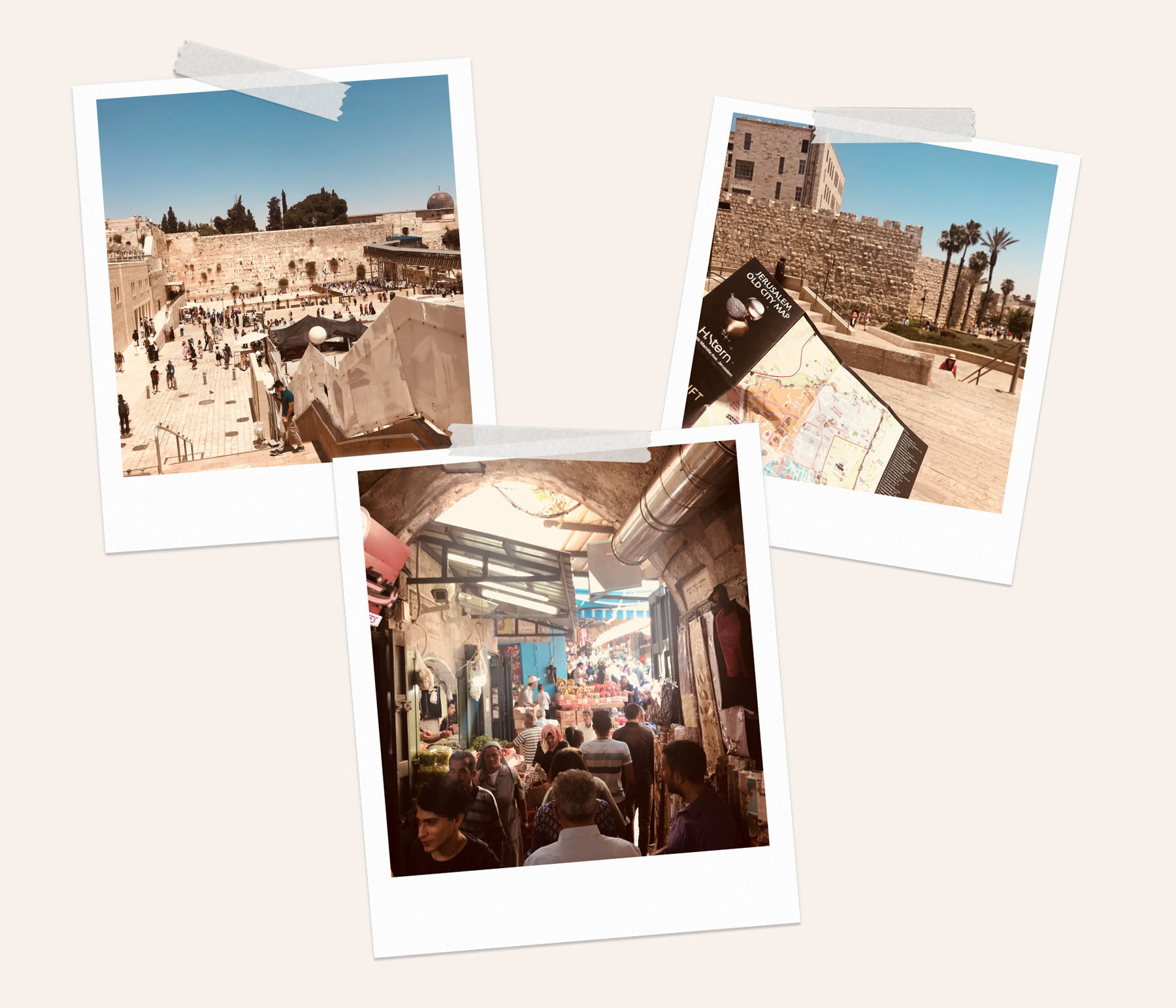 Sanseveria-Bagelsalon-Brugge-Oostende-Tel-Aviv-Jeruzalem-hotspots.jpg#asset:252