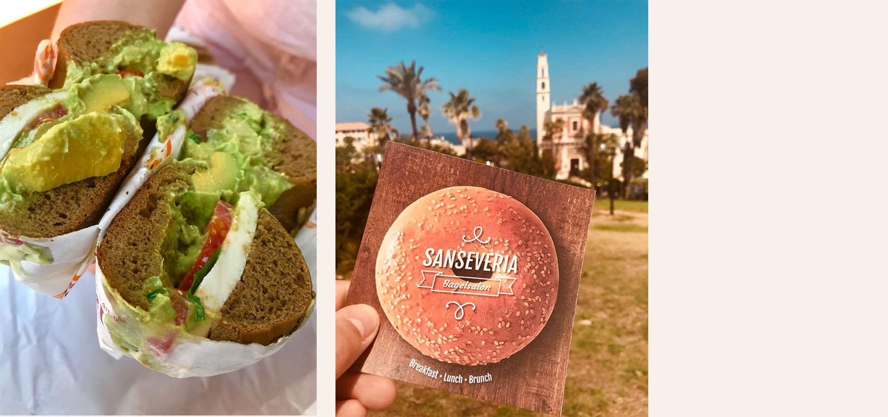Sanseveria-Bagelsalon-Brugge-Oostende-Tel-Aviv-Tag-Bagels.jpg#asset:246