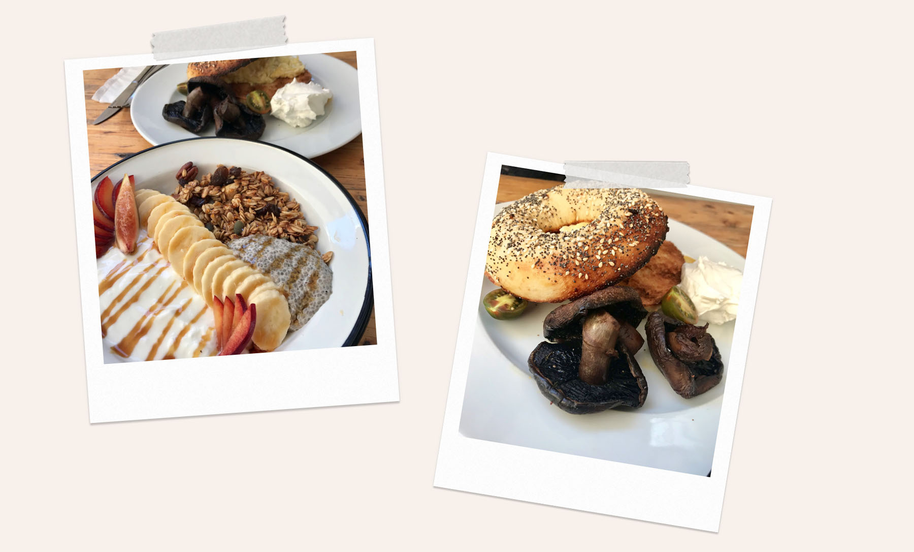 Sanseveria-Bagelsalon-Brugge-Oostende-Tel-Aviv-Xoho.jpg#asset:244