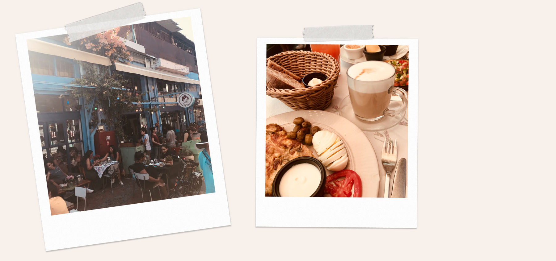 Sanseveria-Bagelsalon-Brugge-Oostende-Tel-AvivPuaa-edit.jpg#asset:276