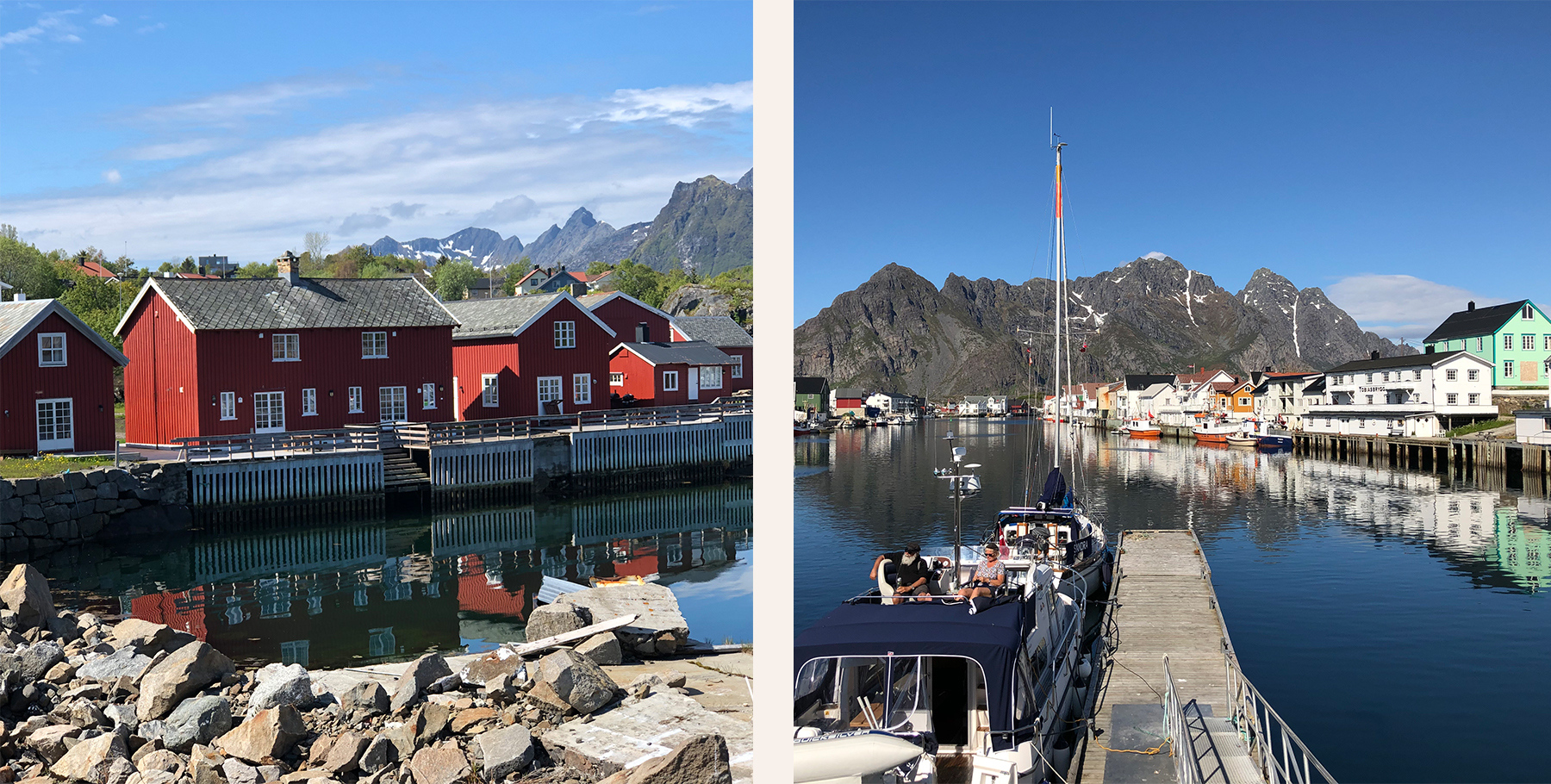 Sanseveria-NoorwegenHenningsvær-2.jpg#asset:388