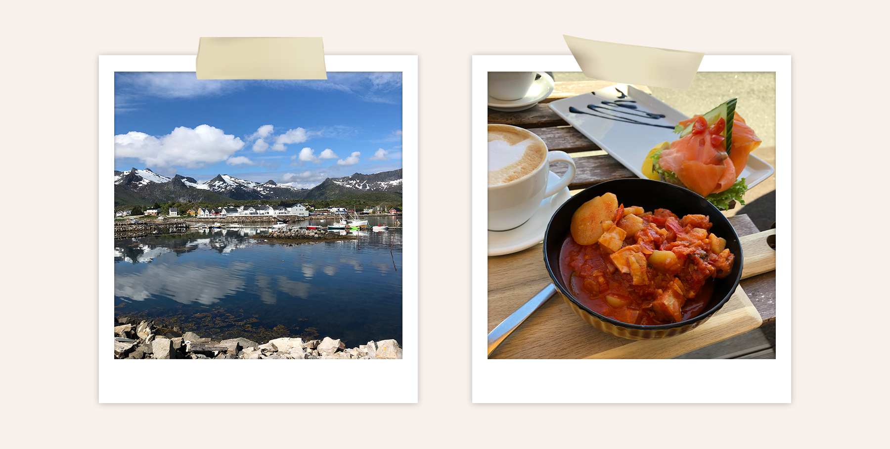 Sanseveria-NoorwegenHenningsvær-bacalao.jpg#asset:387