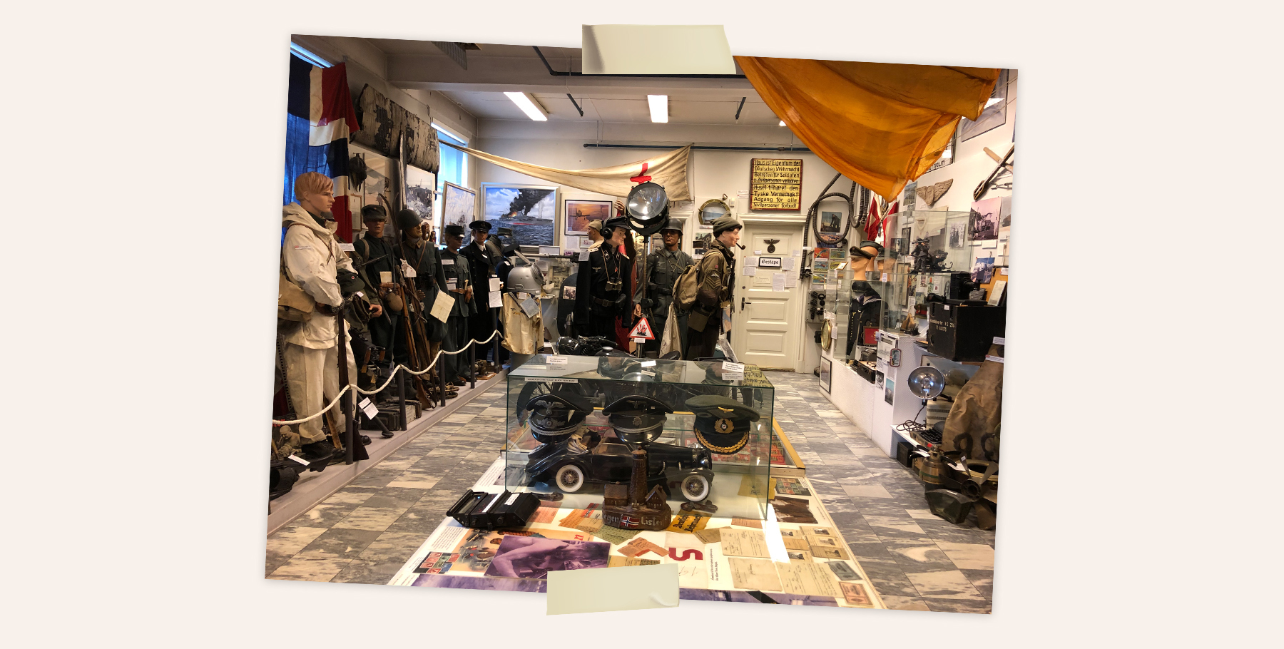 Sanseveria-NoorwegenLofoten-War-Memorial-Museum.jpg#asset:384