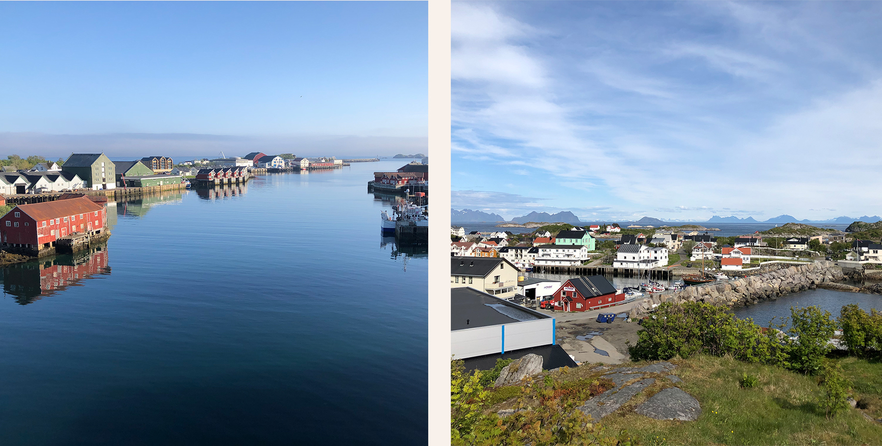Sanseveria-NoorwegenSvolvær-town.jpg#asset:383