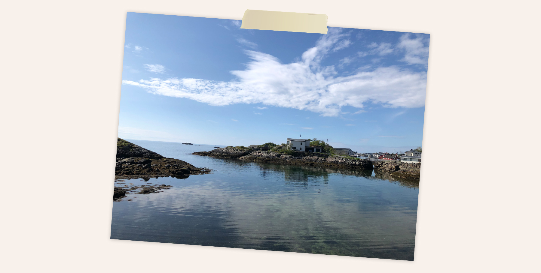 Sanseveria-NoorwegenSvolvær-uitzicht-airbnb.jpg#asset:382